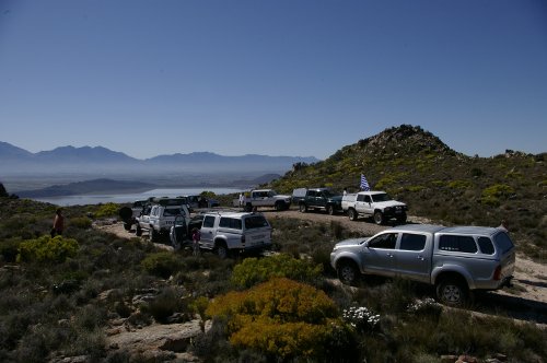 Hiluxes at Tierkloof