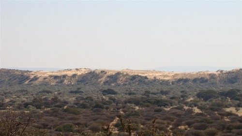 dunes from the view point