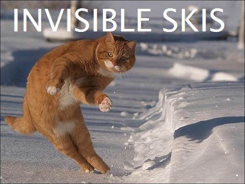 invisible-skis.jpg