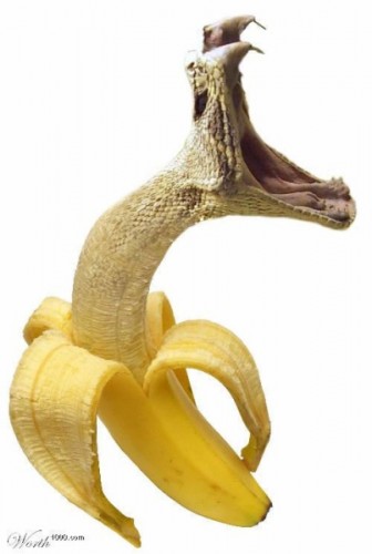 bananasnake.JPG