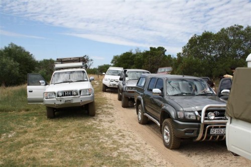 Some 4x4's on the trip