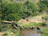 Mutale Falls camp