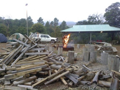 Enuf firewood!.jpg