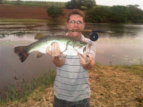 FIRST FISH I CAUGHT ON A FLY ROD