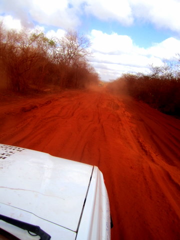The god-awful track to cross the border from Mozambique to Tanzania at Negomane