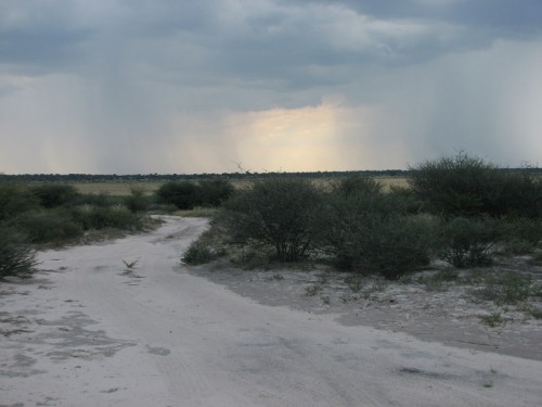 Kalahari donderstorm.JPG