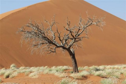 Namibia 2011 324 (Small).jpg