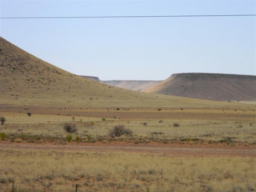 Namakwa  Namibia 2011 2063 (Medium).JPG