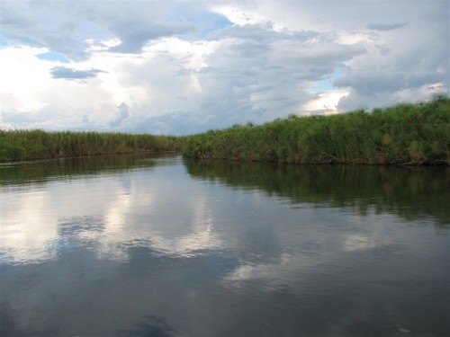 18 Okavango Delta oppie kanaal.JPG