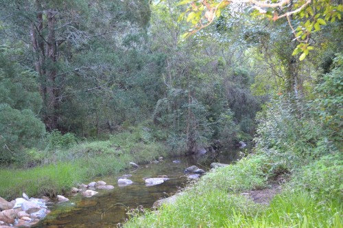stream running past the camp site