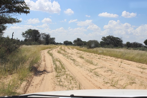 Thick sand but still nice to travel on. We did about 60km per hour in high range 4x4