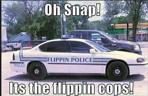 flippin cops.jpg