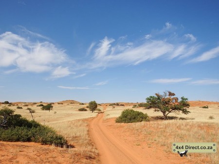 Kgalagadi 2018